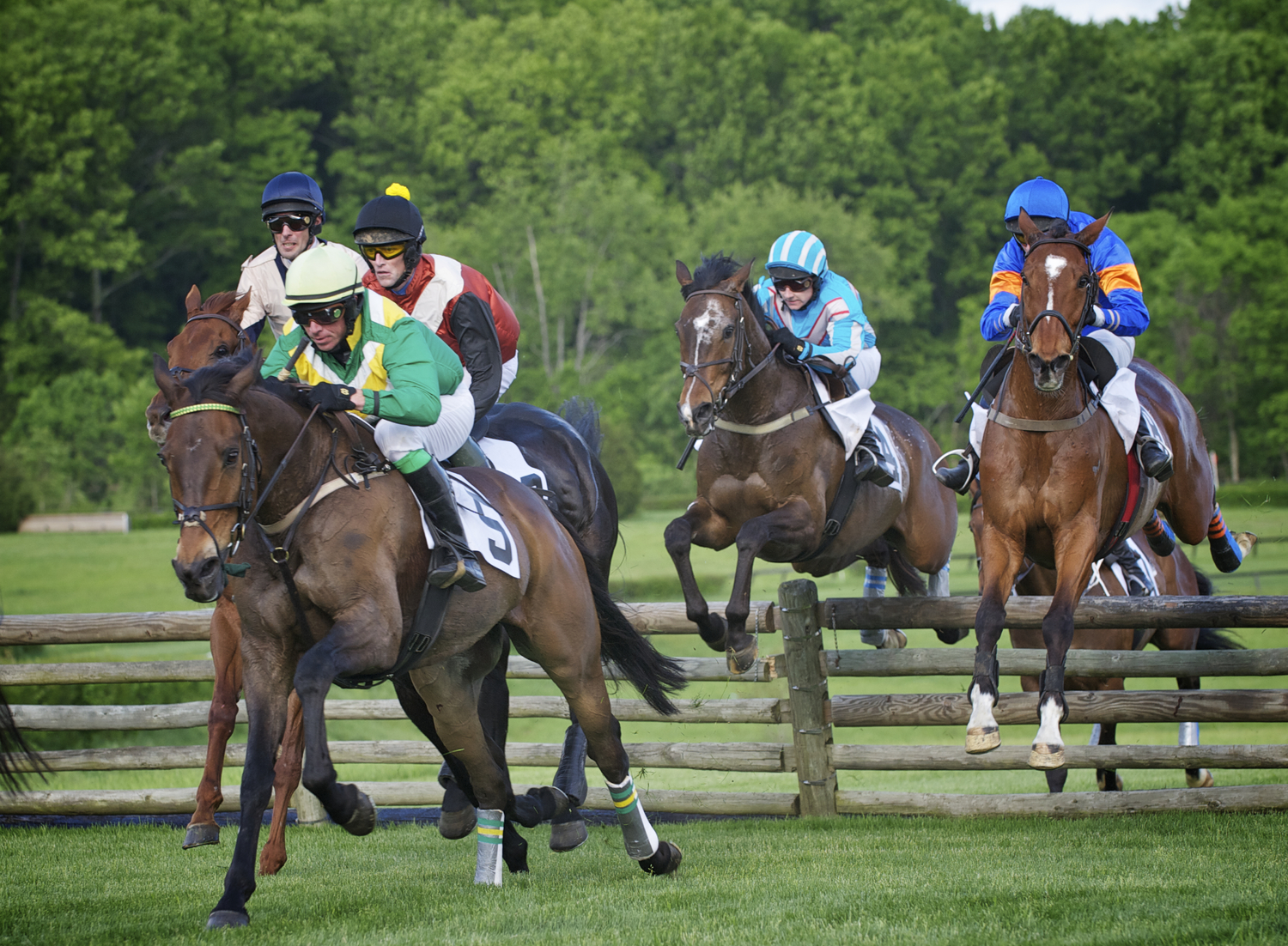 2013+Iroquois+Steeplechase+93